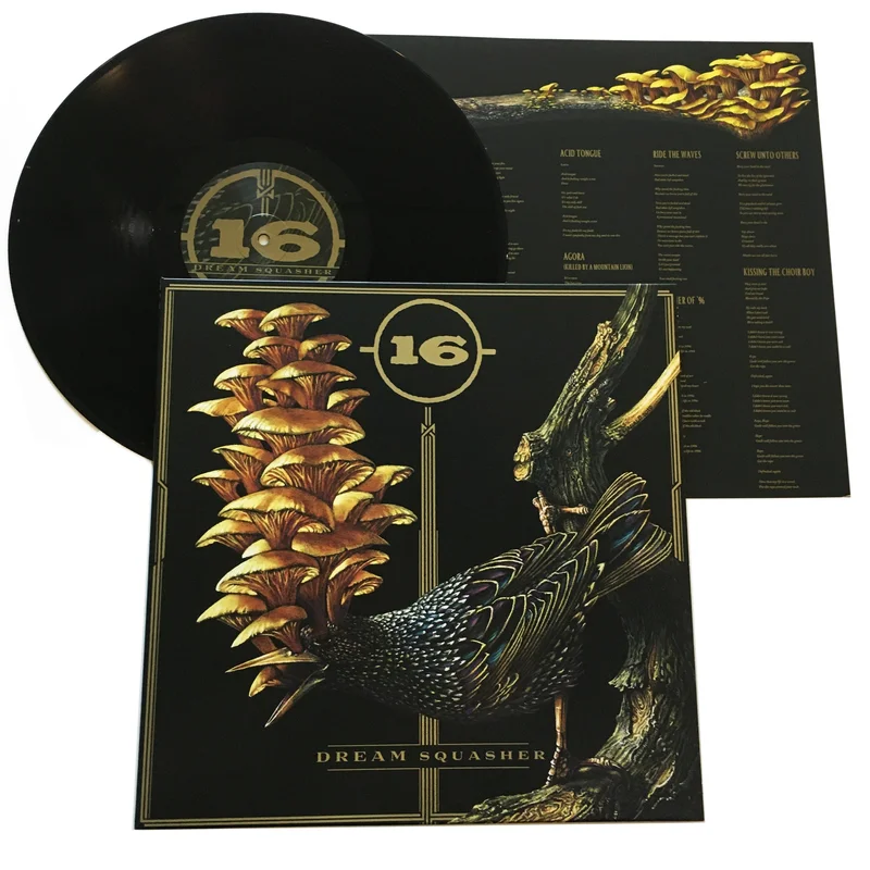 16: Dream Squasher 12"