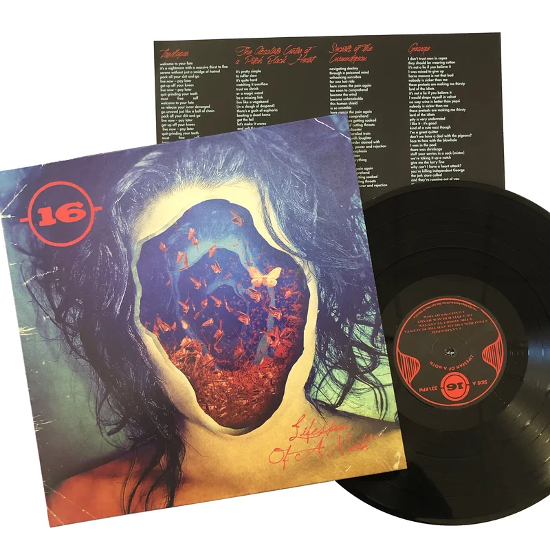 16: Lifespan of a Moth 12" (new)