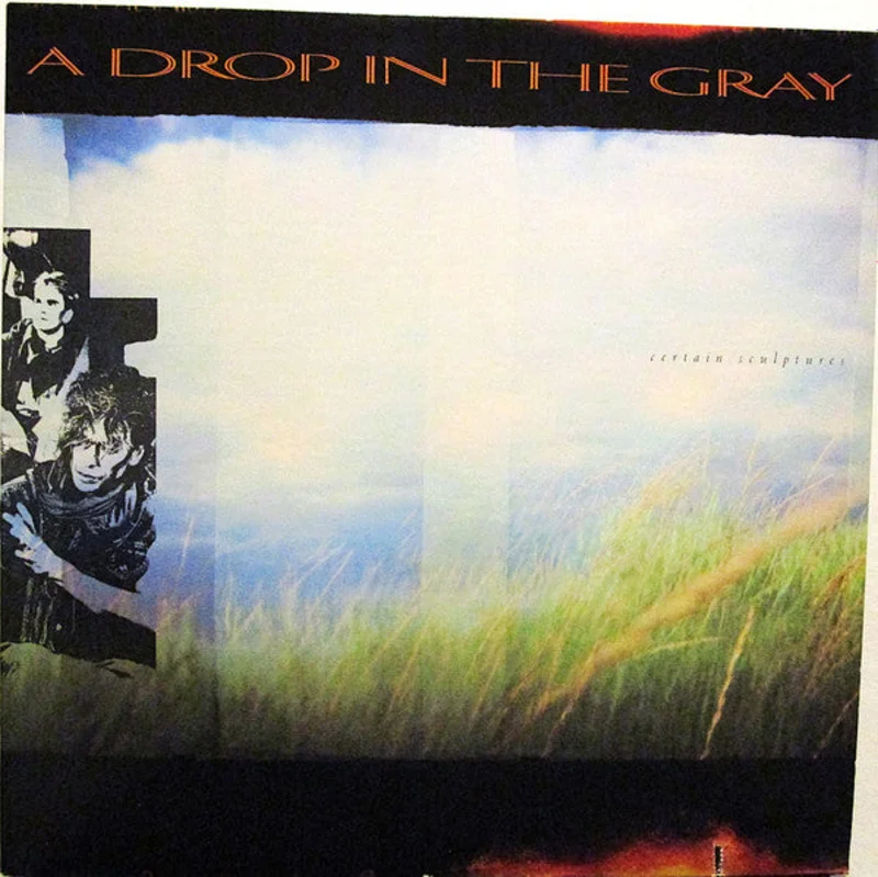 A Drop In The Gray: Certain Sculptures 12"