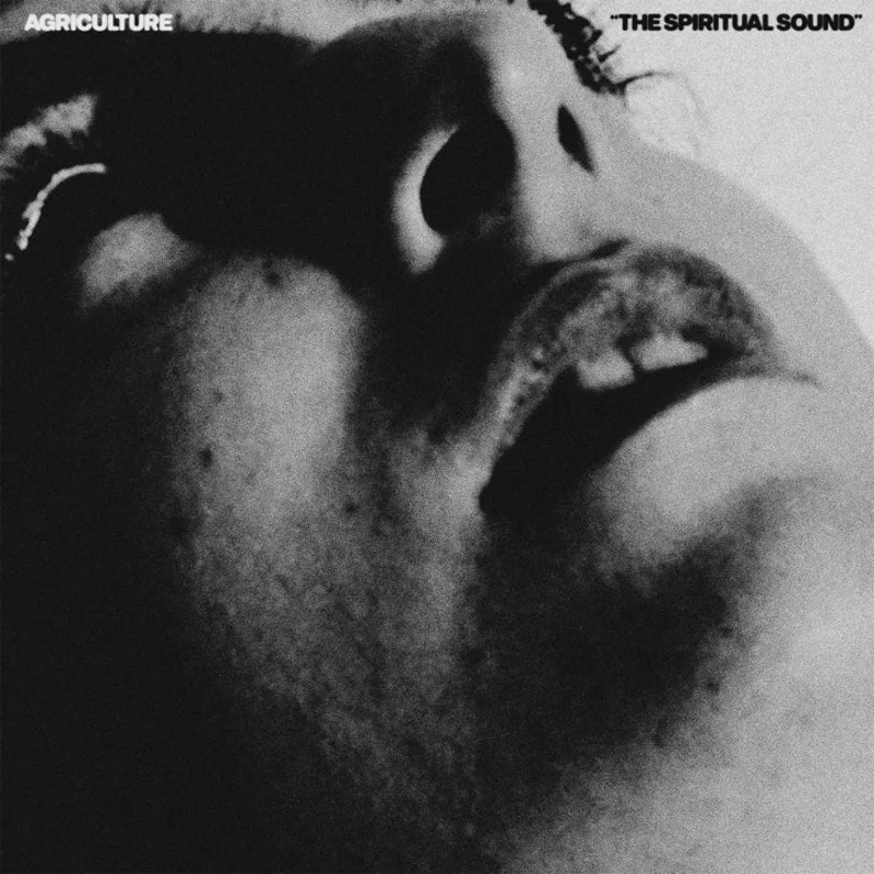 Agriculture: The Spiritual Sound 12"