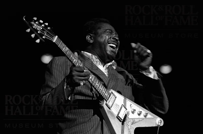 ALBERT KING 1969
