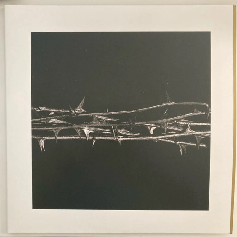 Amenra: De Doorn 12"
