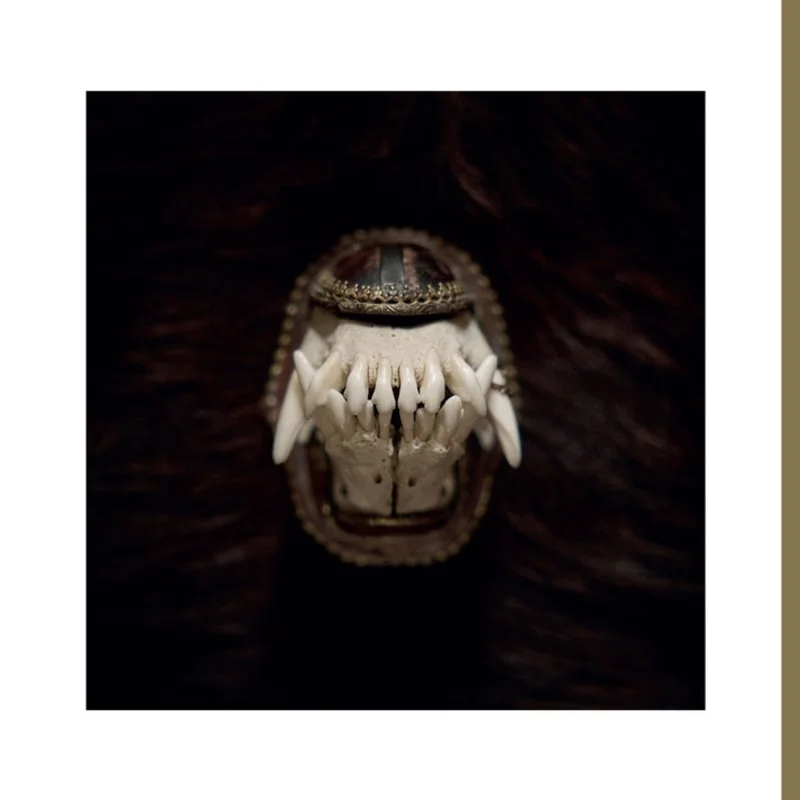 Amenra: De Toorn 12"