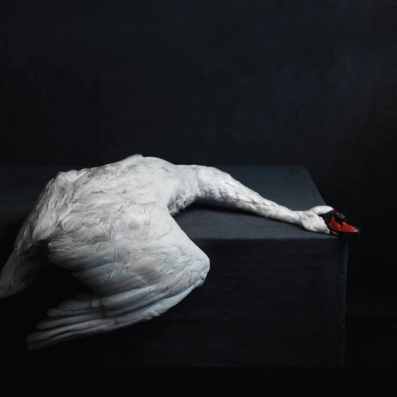 AMENRA 'MASS VI'  2LP - IMPORT