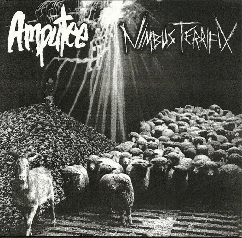 Amputee / Nimbus Terrifix: Split 7"