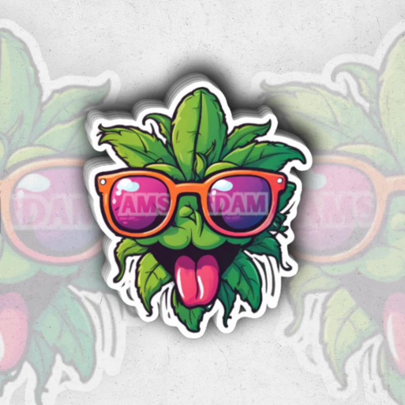 Amsterdam (Sk Exclusive) - glossy vinyl sticker