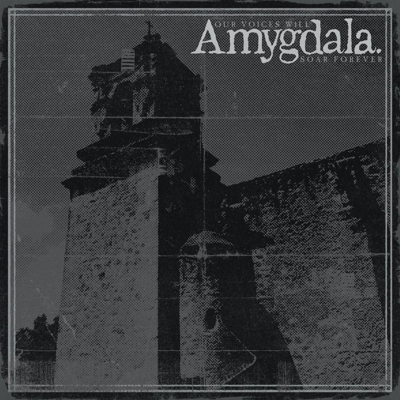 AMYGDALA 'OUR VOICES WILL SOAR FOREVER' CD