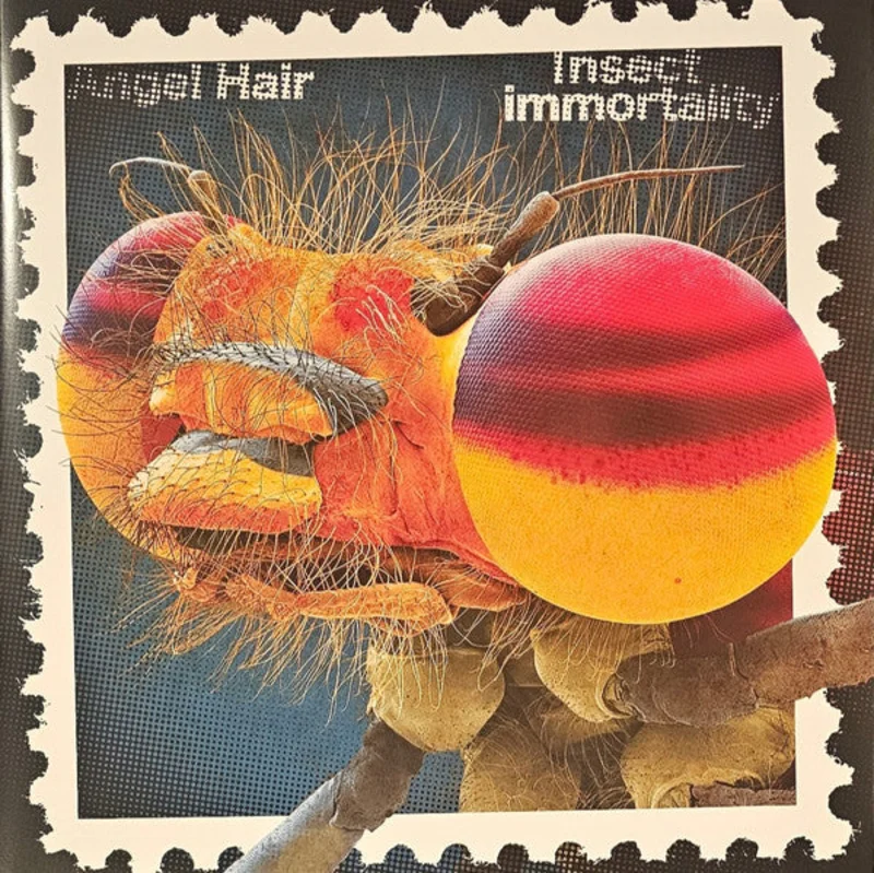 Angel Hair: Insect Immortality 12"