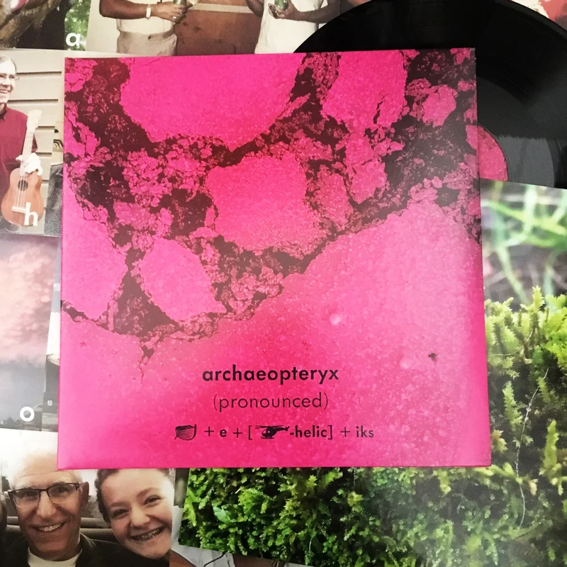 Archaeopteryx: (Pronounced) 12" (new)