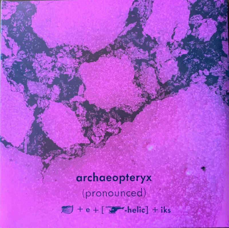 Archaeopteryx: (Pronounced) 12"