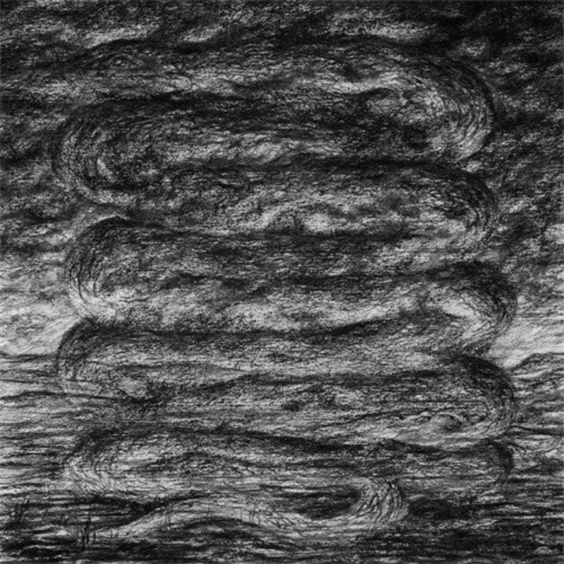 Ash Borer: Bloodlands 12"