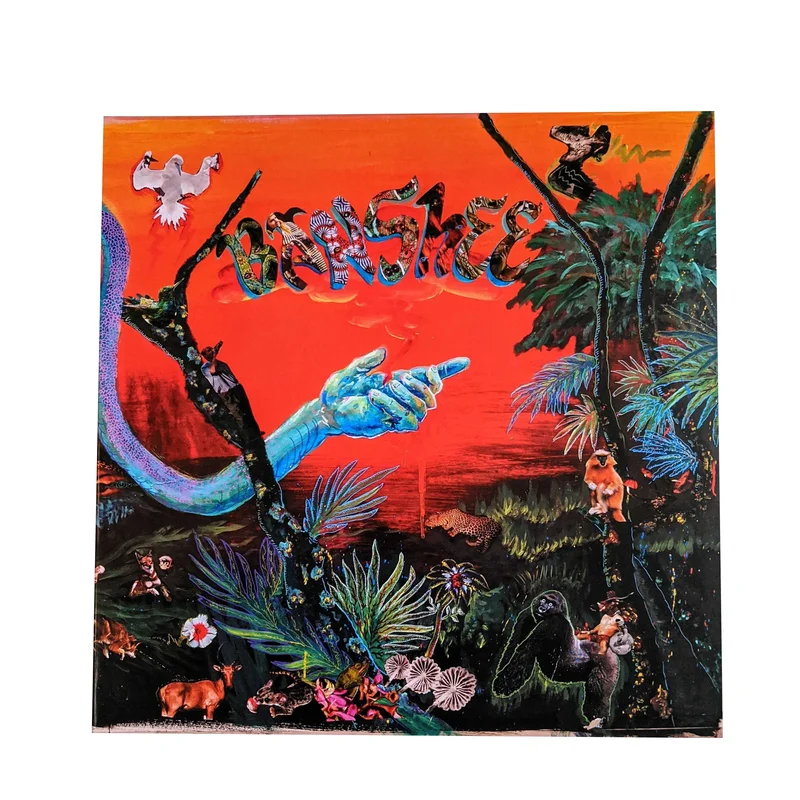Banshee: Livin' In The Jungle 12"
