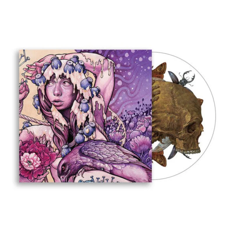 BARONESS 'TRY TO DISAPPEAR' 12" EP - PICTURE DISK