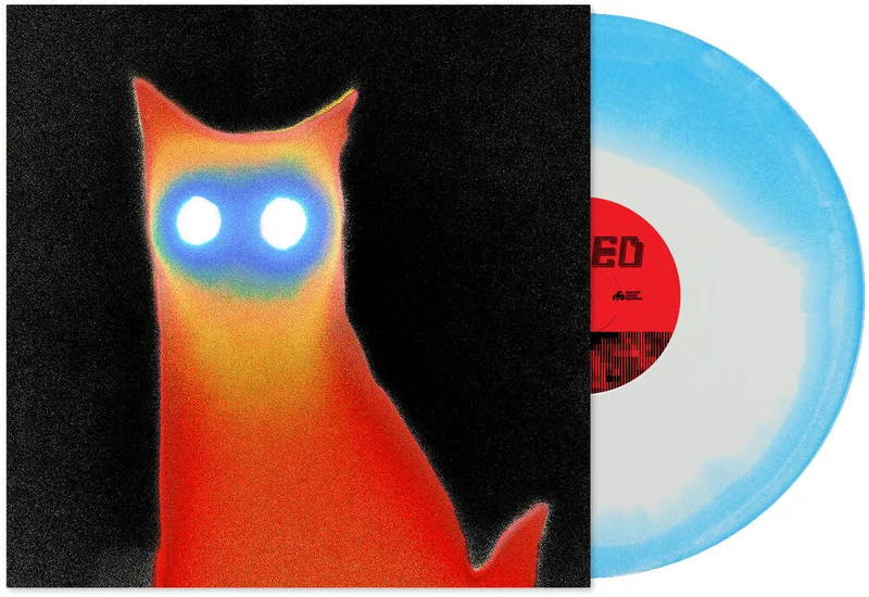 Basement: WIRED 12"