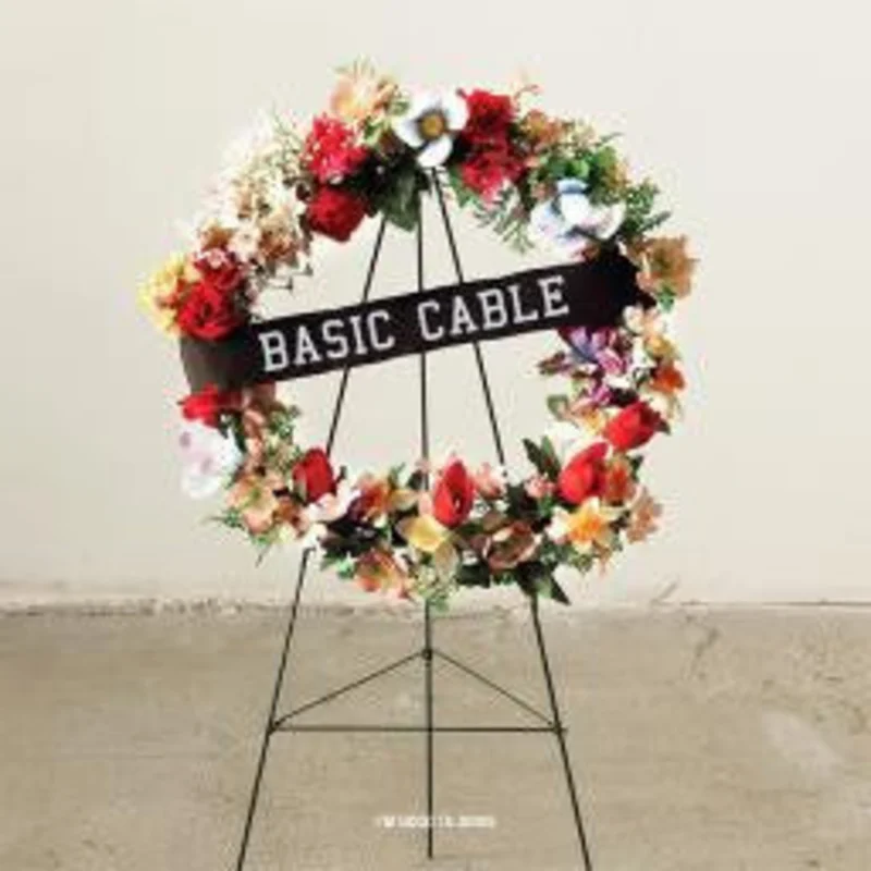 Basic Cable: I'm Good To Drive 12"