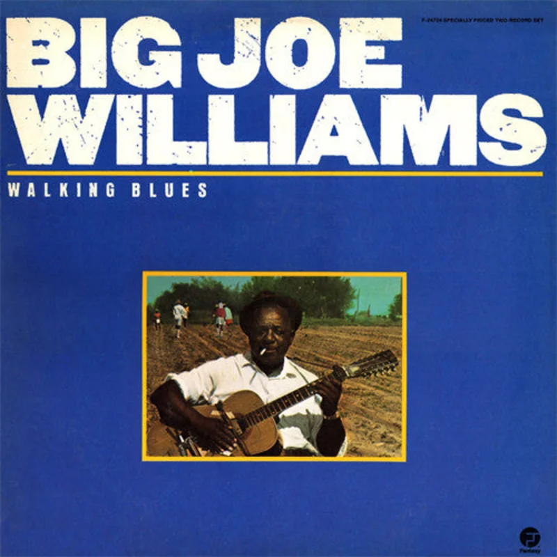 Big Joe Williams: Walking Blues 2x12"