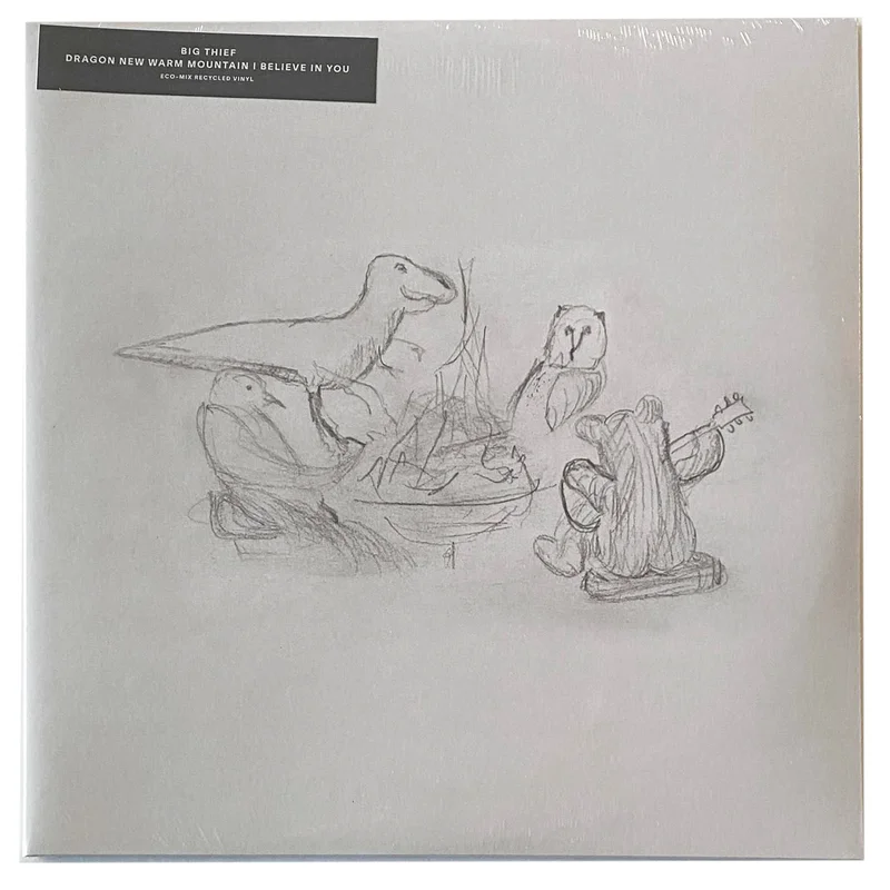 Big Thief: Dragon New Warm Mountain I Believe In You 12"