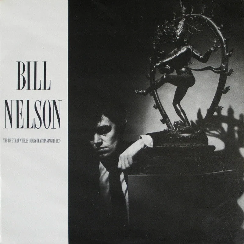 Bill Nelson: The Love That Whirls 2x12"