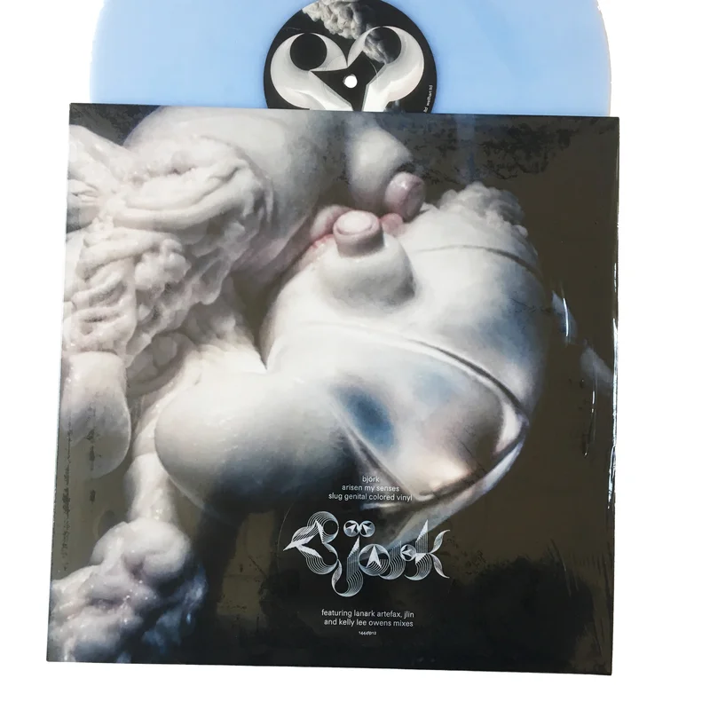 Bjork: Arisen My Senses 12" (new)