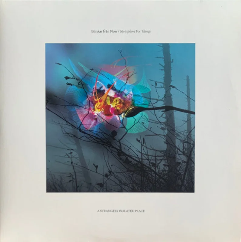 Blinkar Frn Norr: Metaphors For Things 2x12"