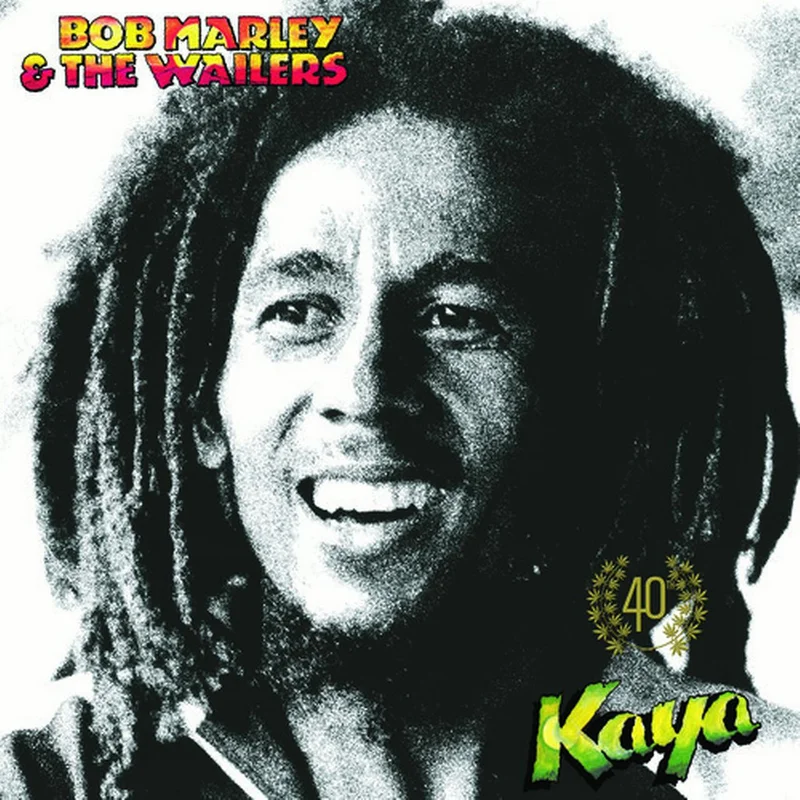 BOB MARLEY - KAYA - VINYL LP