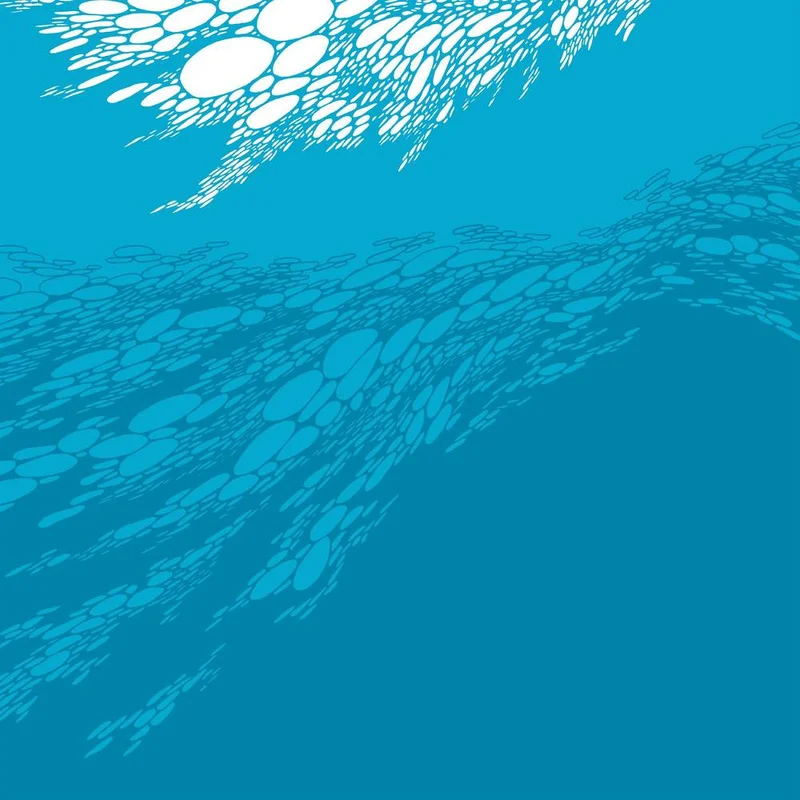 BORIS 'FLOOD' LP