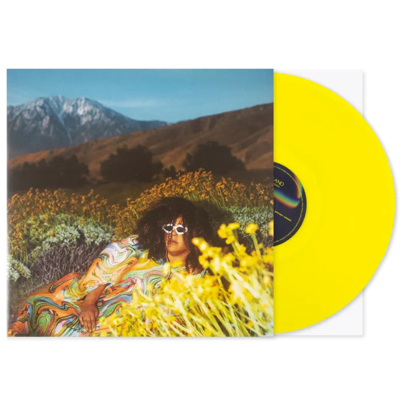 BRITTANY HOWARD - WHAT NOW - YELLOW COLOR - VINYL LP