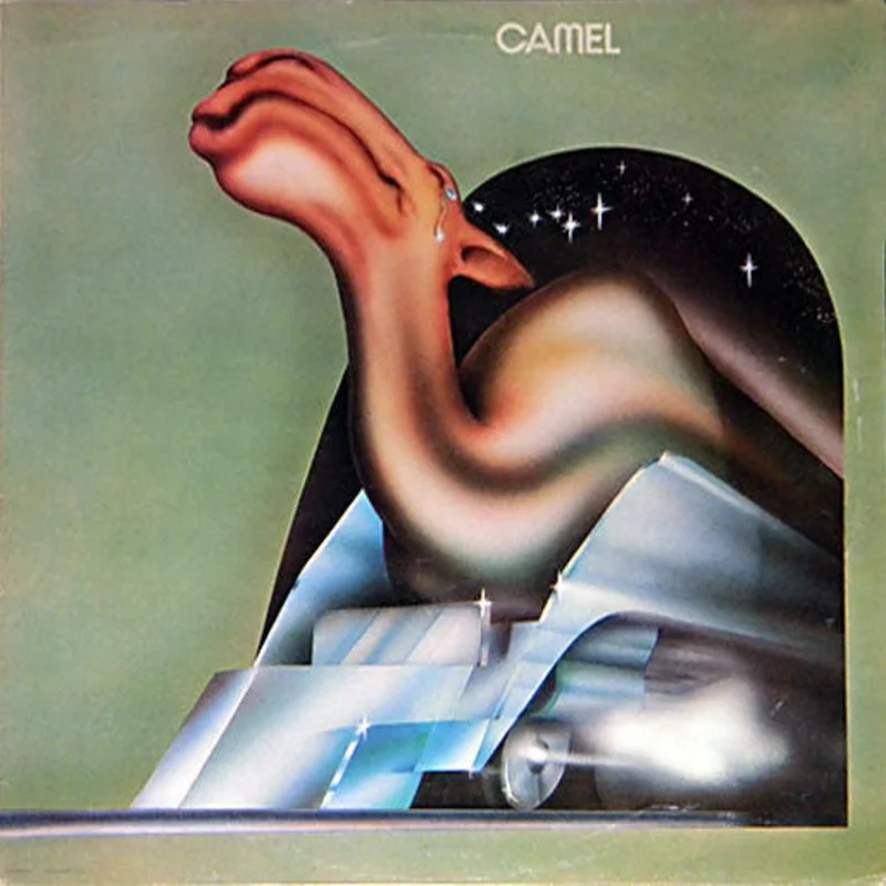 Camel: S/T 12" (used)