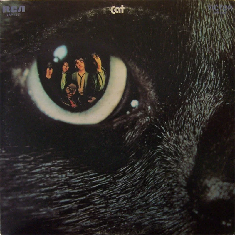 Cat: S/T 12"