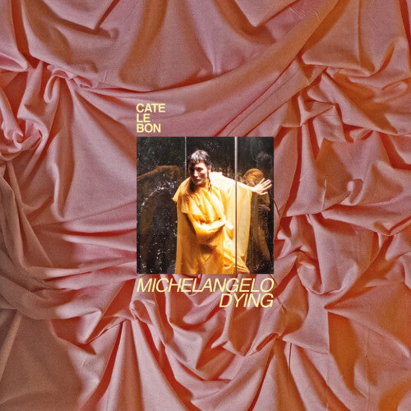 Cate Le Bon: Michelangelo Dying 12"