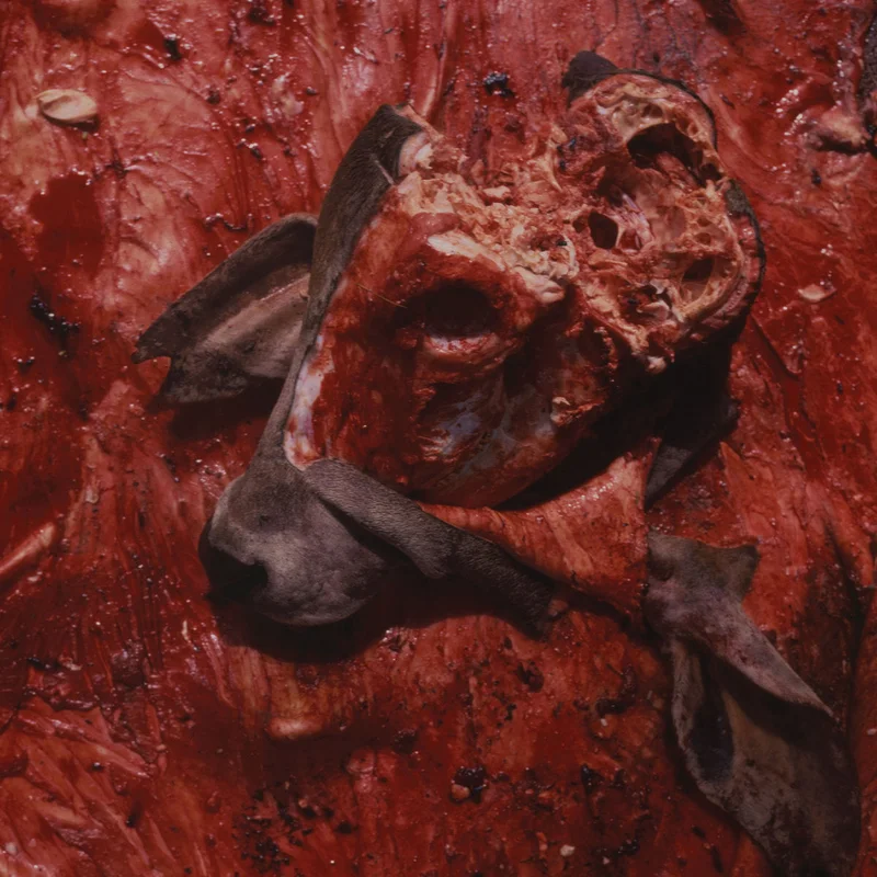 Cattle Decapitation: Human Jerky 12"