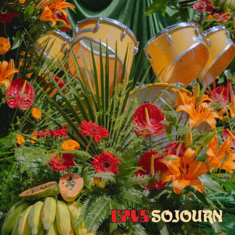 Cavs: Sojourn