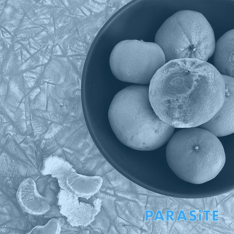 Cell Rot: Parasite 12"