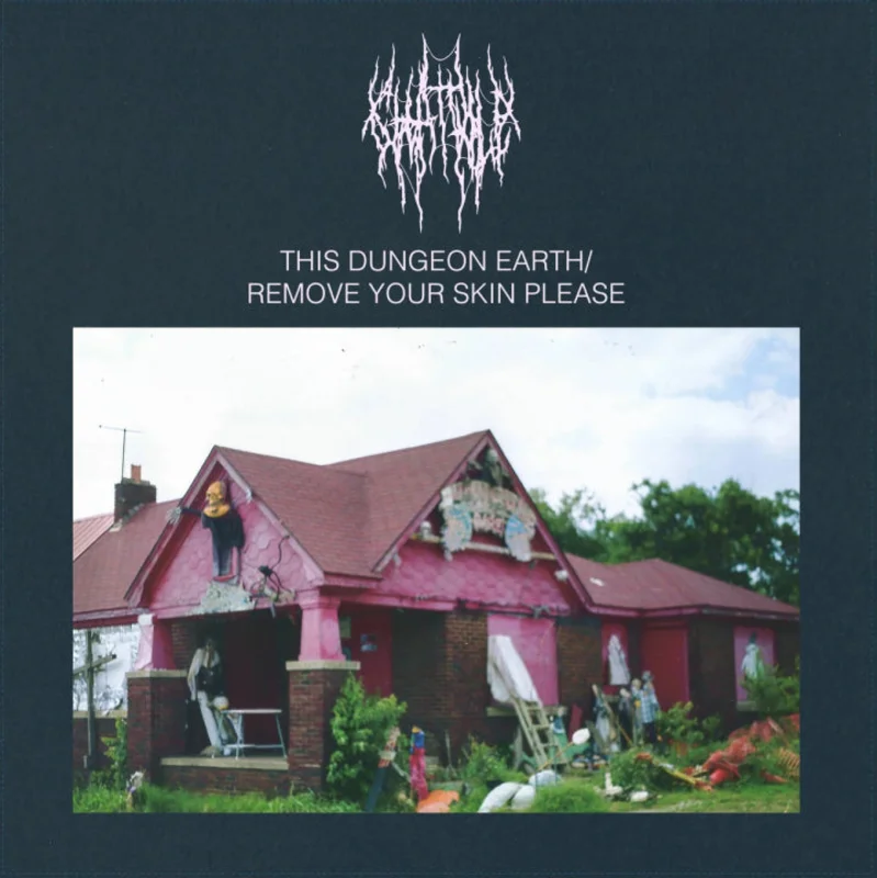 Chat Pile: This Dungeon Earth / Remove Your Skin Please 12"