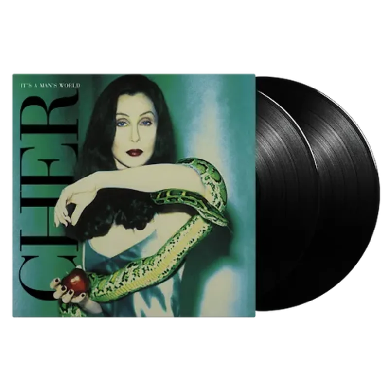 CHER - IT'S A MAN'S WORLD - 2-LP - VINYL LP