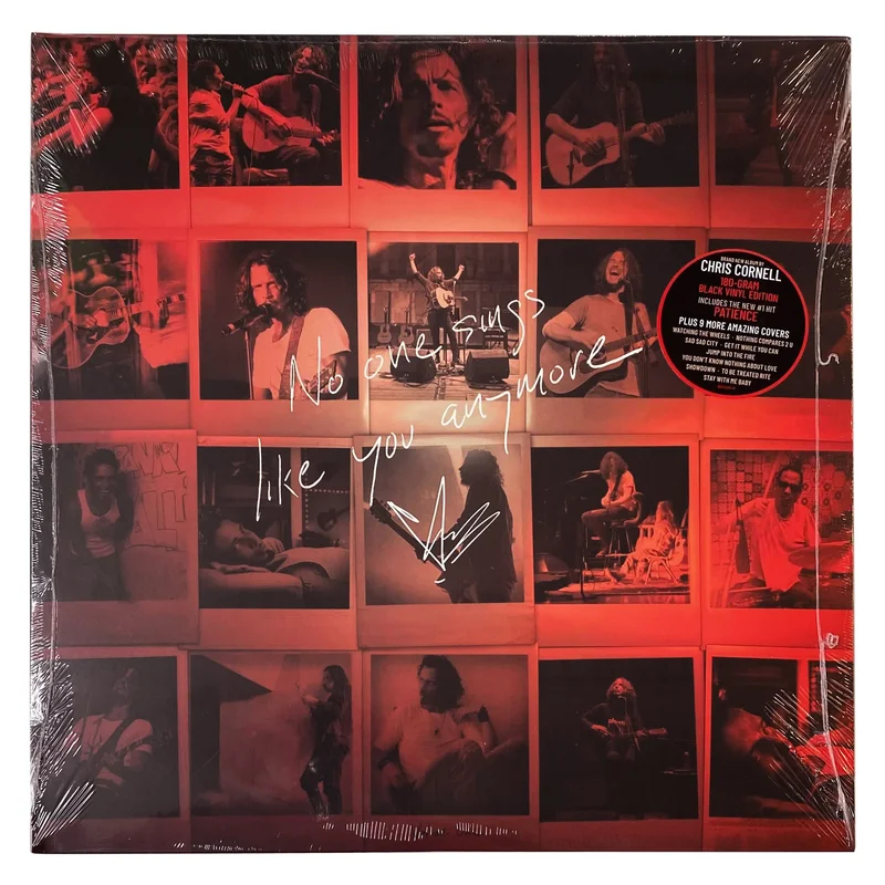 Chris Cornell: No One Sings Like You Anymore 12"