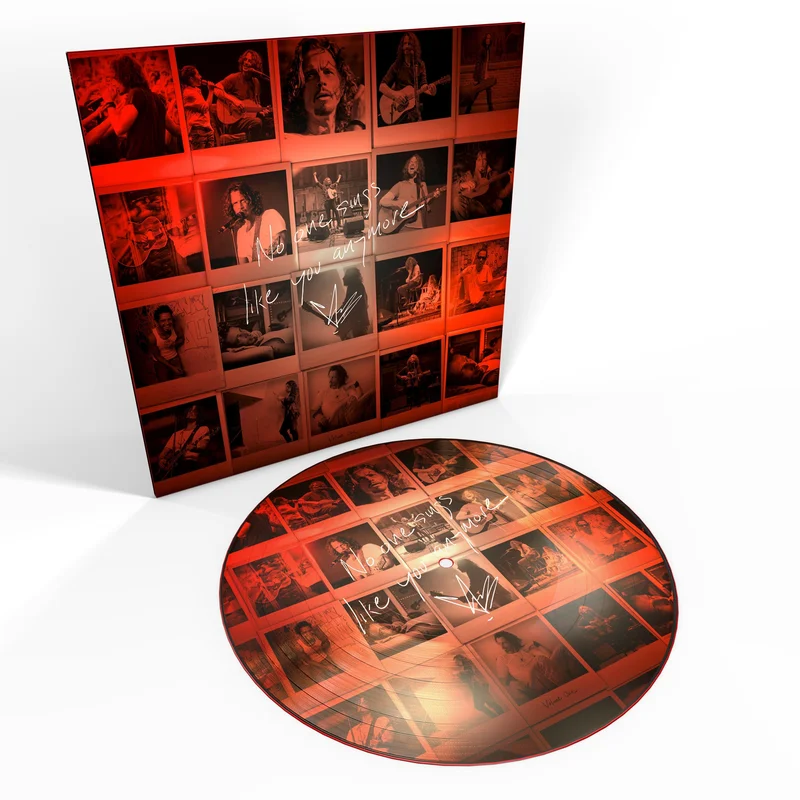 CHRIS CORNELL 'NO ONE SINGS LIKE YOU ANYMORE' LP - PICTURE DISC
