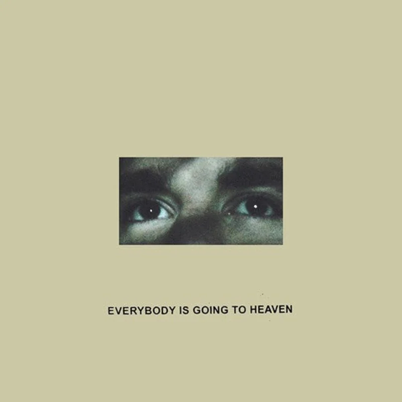 CITIZEN 'EVERYBODY IS GOING TO HEAVEN' LP (Eco Mix Vinyl)