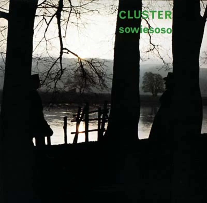Cluster: Sowiesoso 12"