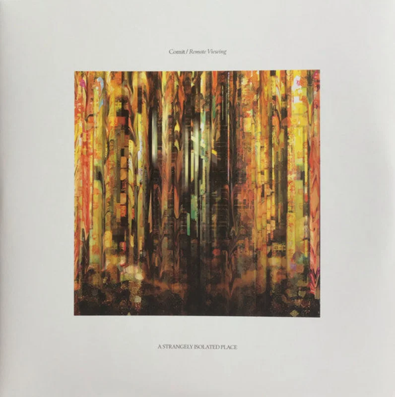 Comit: Remote Viewing 2x12"