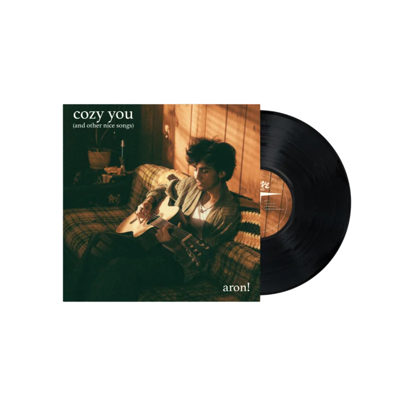 cozy you (and other nice songs) - Vinyl
