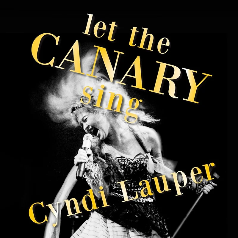 CYNDI LAUPER - LET THE CANARY SING - VINYL LP