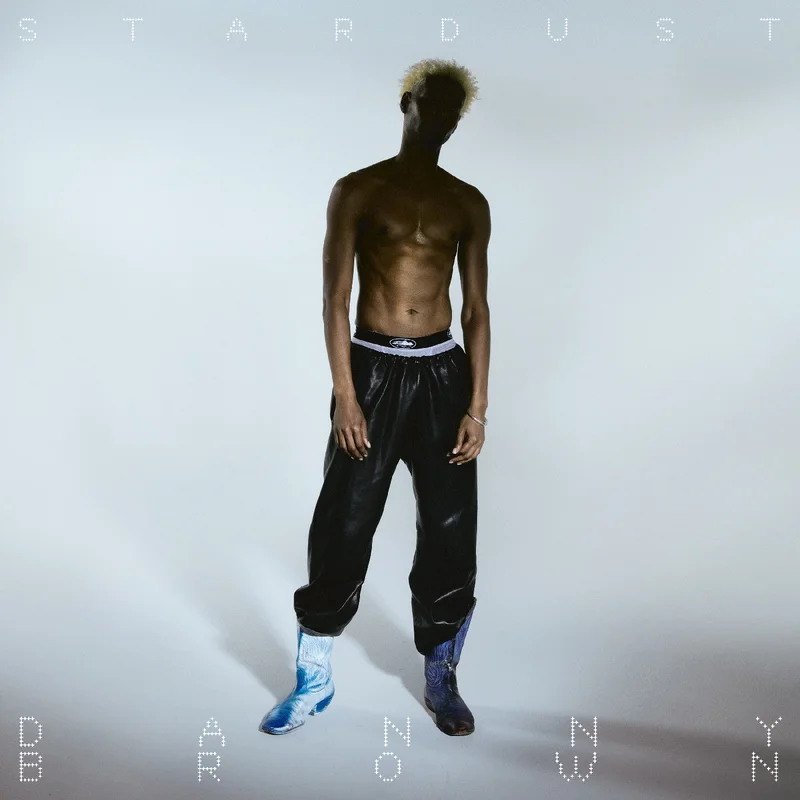Danny Brown: Stardust 12"