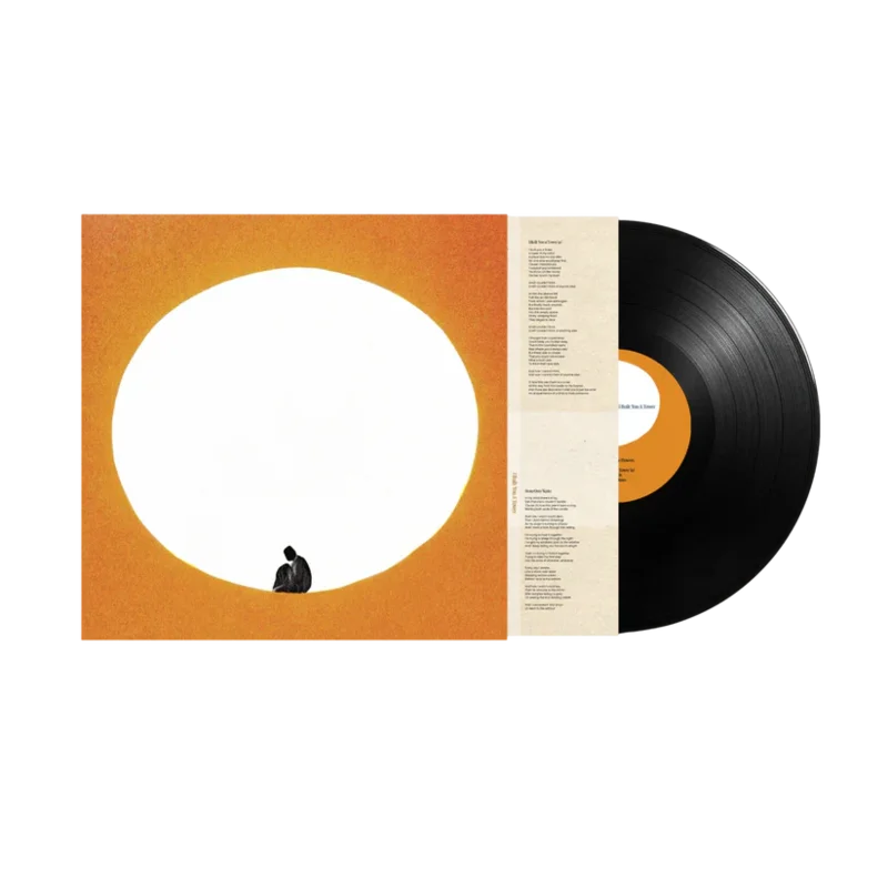 DEATH CAB FOR CUTIE 'I BUILT YOU A TOWER' LP