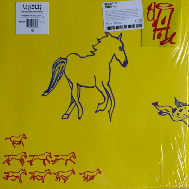 Dehd: Water 12"