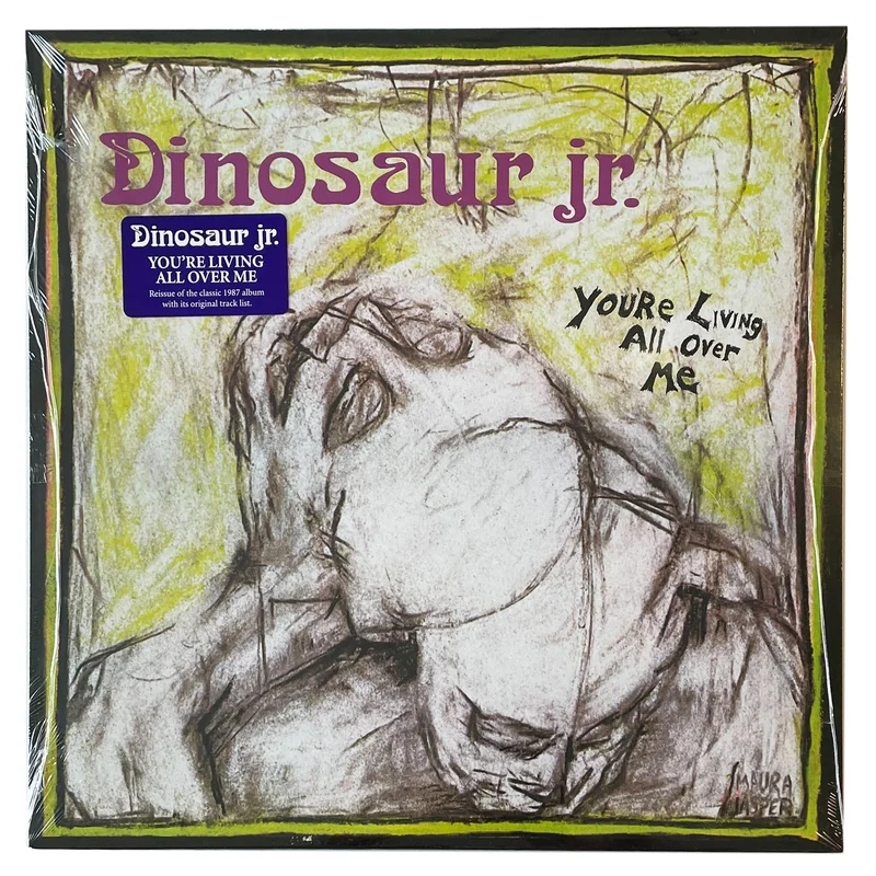 Dinosaur Jr.: You're Living All Over Me 12"
