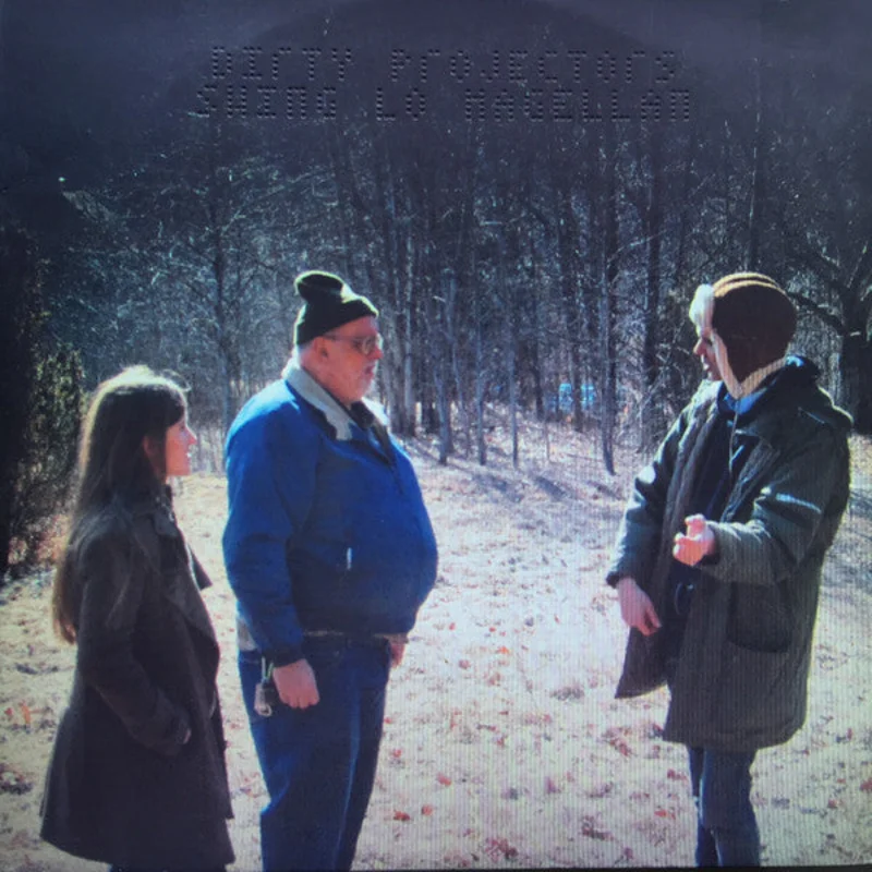 Dirty Projectors: Swing Lo Magellan 12"