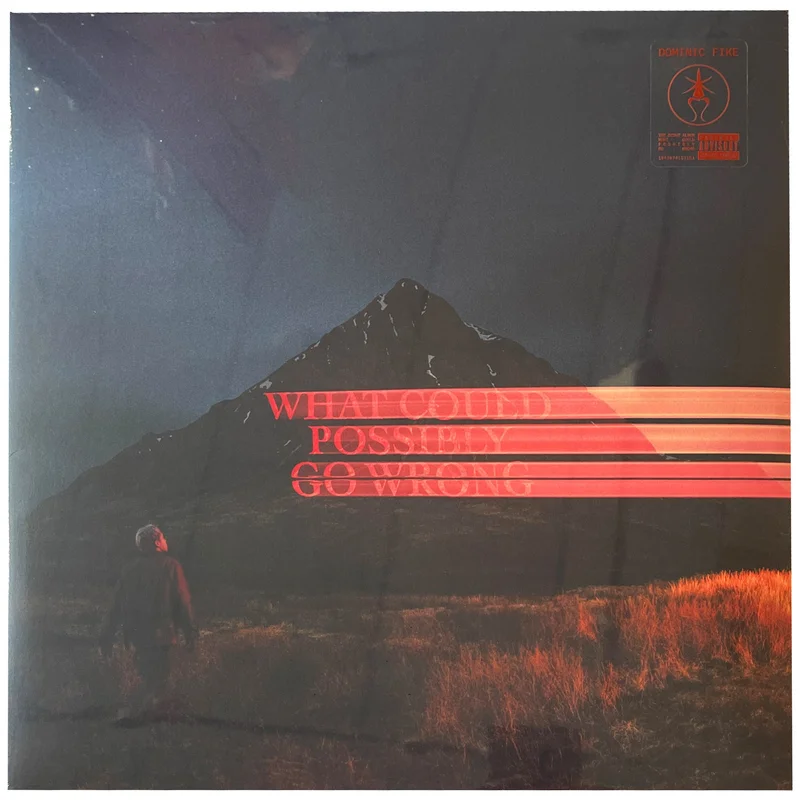 Dominic Fike: What Could Possibly Go Wrong 12"