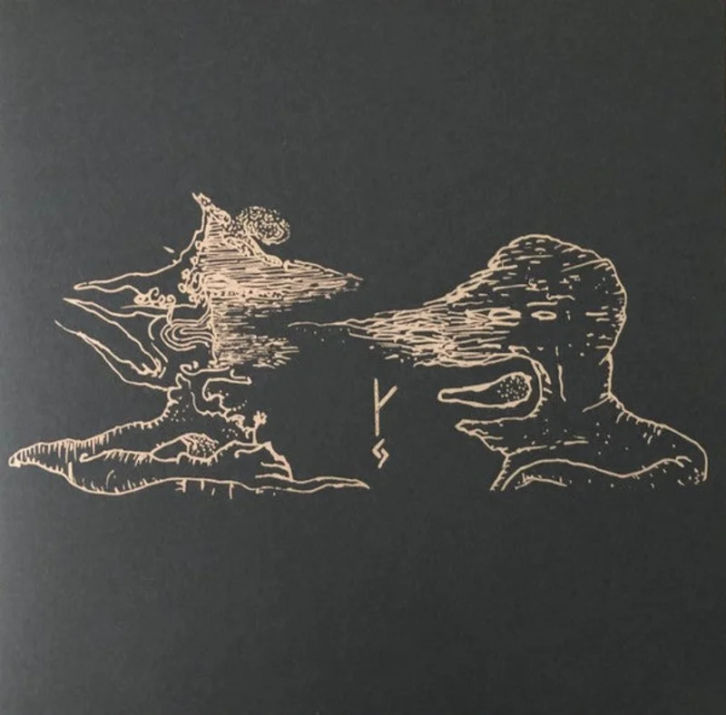 Draugsjukan: S/T 12"