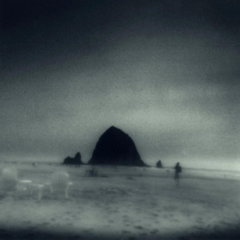 Drowse: Wane Into It 12"